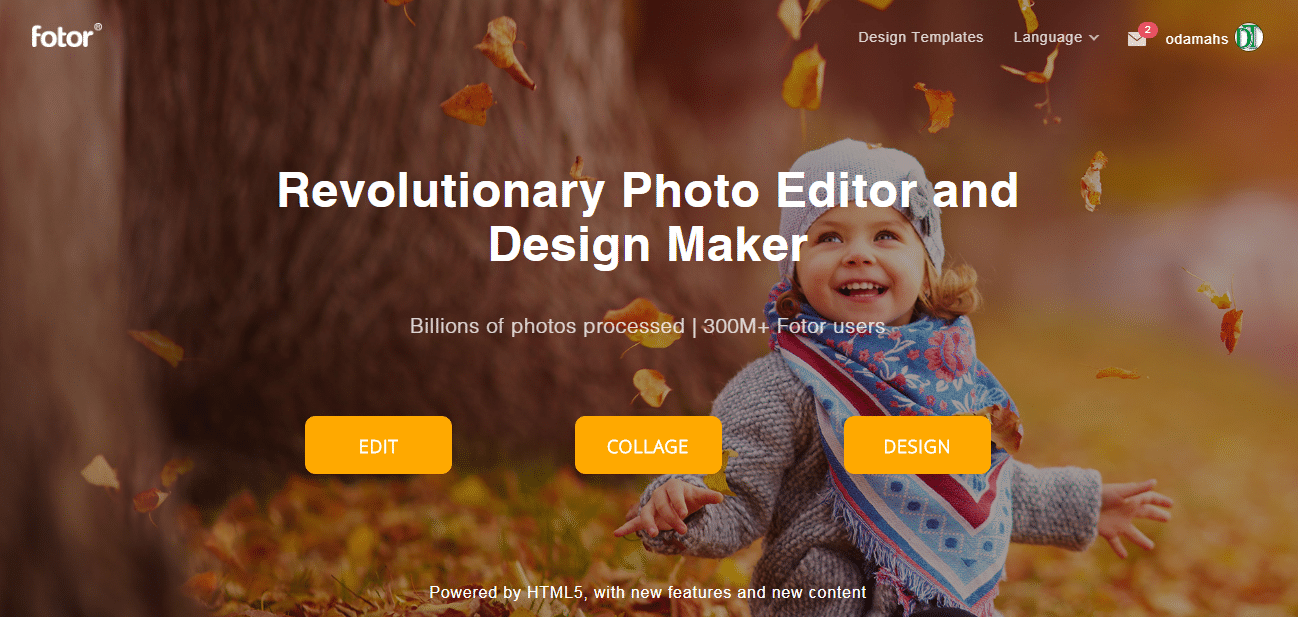 Fotor Review: An Intuitive Online Photo Editor